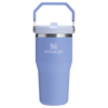IceFlow™ Flip Straw Tumbler Pipetli Termos | 0.60 L