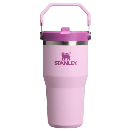 IceFlow™ Flip Straw Tumbler Pipetli Termos | 0.60 L