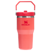 IceFlow™ Flip Straw Tumbler Pipetli Termos | 0.60 L