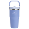 IceFlow™ Flip Straw Tumbler Pipetli Termos | 0.60 L