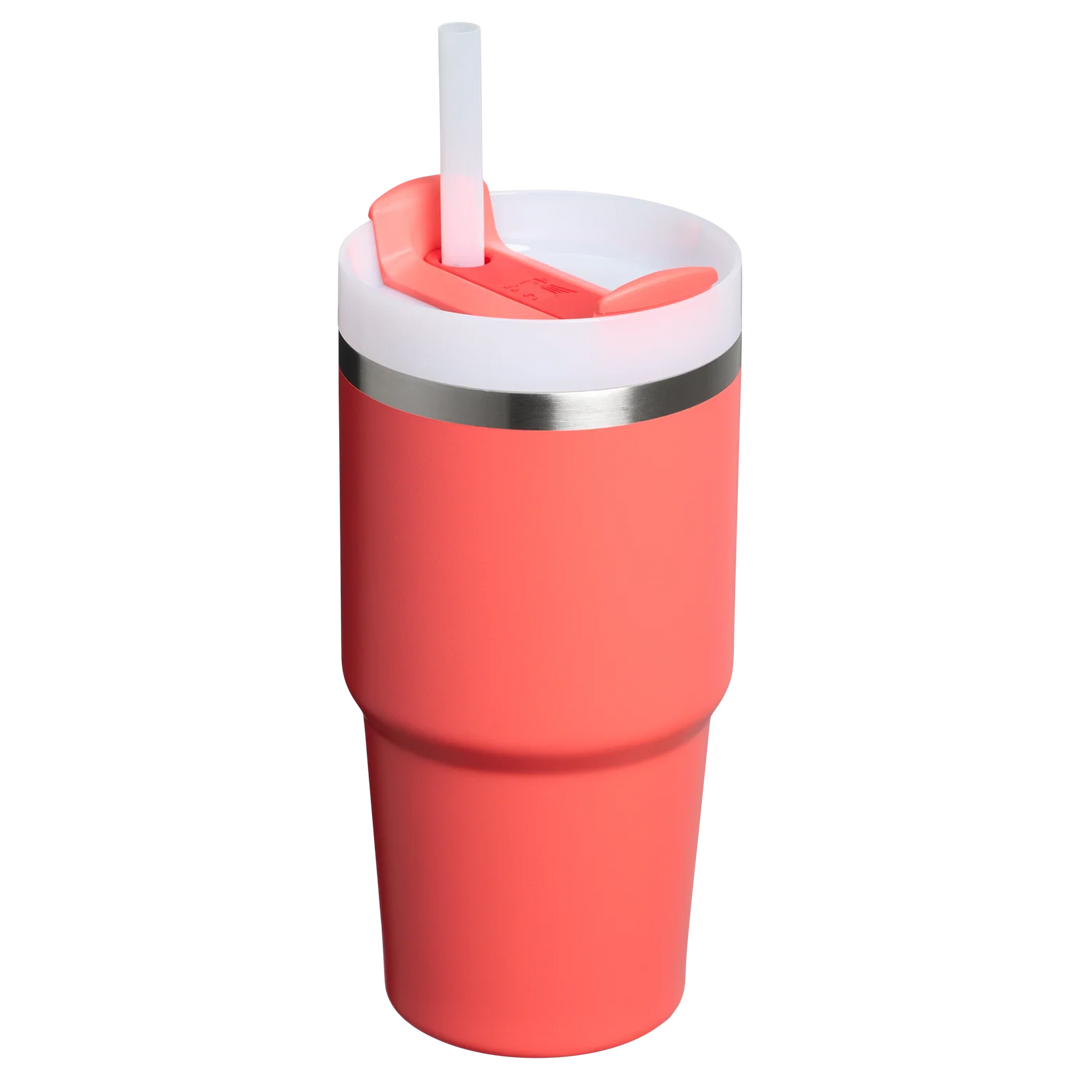 Quencher H2.O FlowState™ Tumbler Pipetli Termos | 0.6L